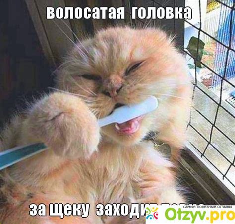 ПОШЛЫЕ загадки с подвохом советы и инструкции 00:33 2025