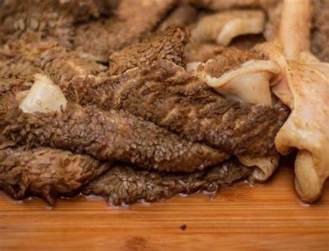Сайт о кошках и собаках - Усатики.ру