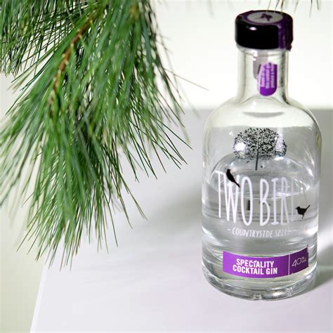 Two Birds Specialty Cocktail Gin | Expert Gin Review and Tasting Notes