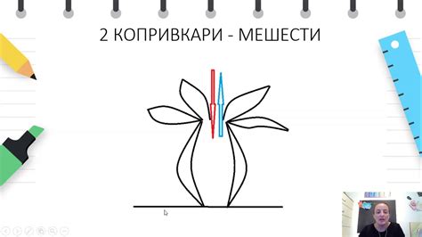 VIII одделение - Биологија - Класификација на без'рбетници и ...