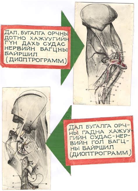 Мал эмнэлэг, анагаах ухаан, МАА-н мэдээлэл: Аавын минь эрдмийн ажил ...