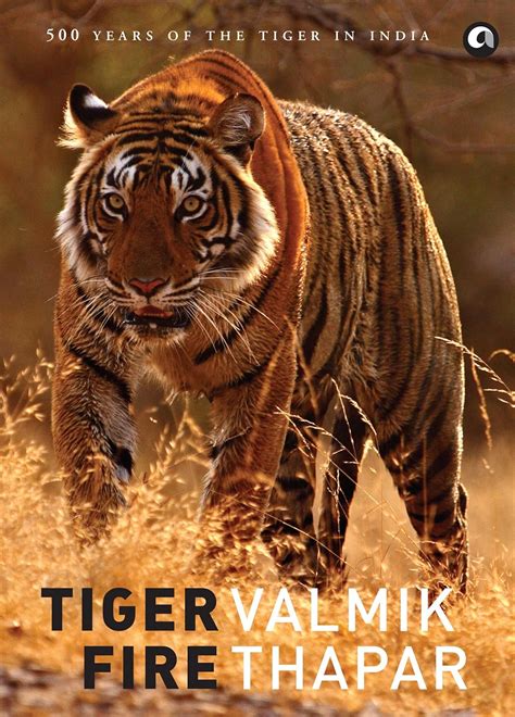 tiger fire  years   tiger  india valmik thapar