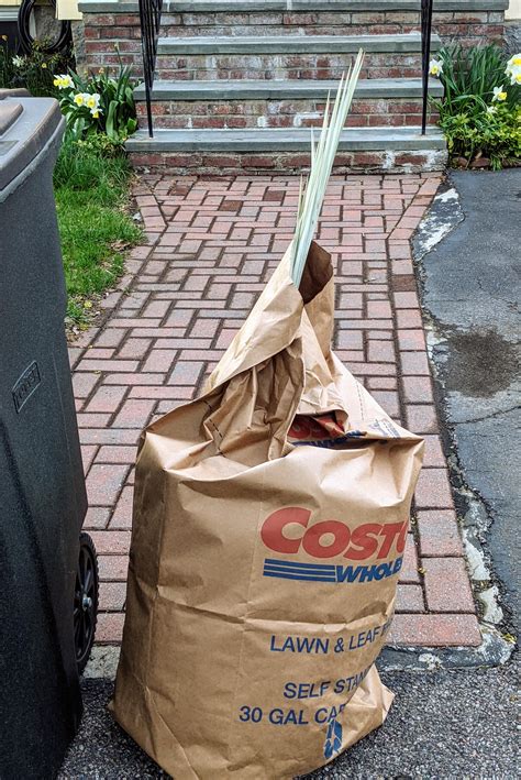 It's yard waste pickup day : r/Judaism