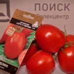 Томат Аделина: характеристика и описание сорта, фото, отзывы