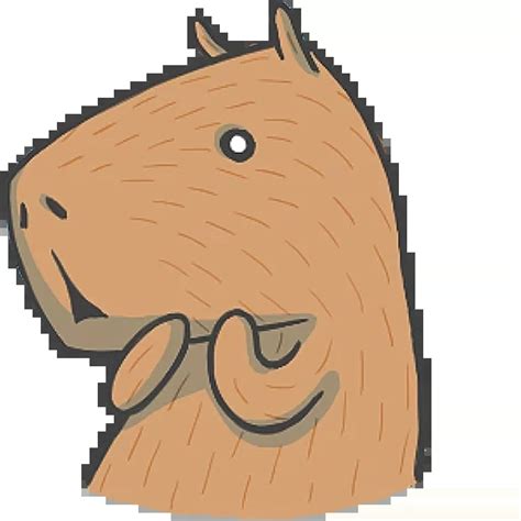 capybaraco whatsapp stickers pack