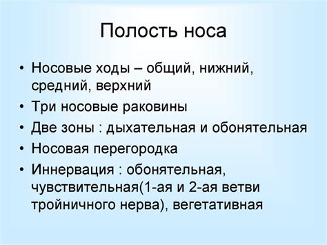 Анатомия и физиология носа - презентация онлайн