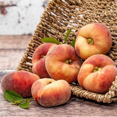 peche plate bio kg  world