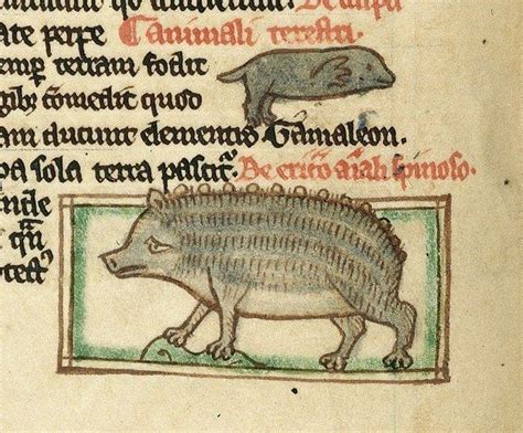 medieval beasts    handle    medieval