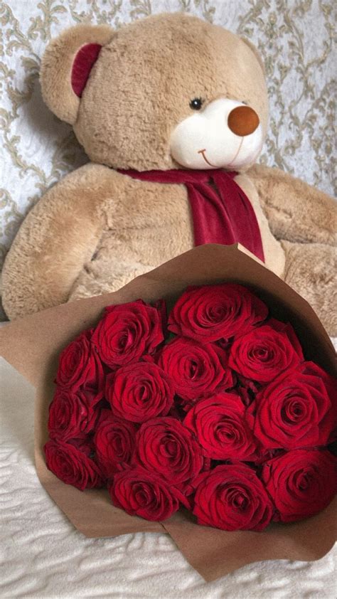 Сладкий мишка 🤎 | Rose rosse, Fotografia di moda