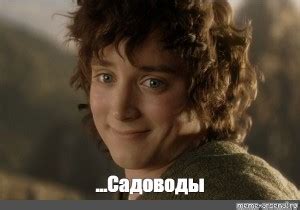 Создать мем "фродо беггинс, Фродо Бэггинс, фродо мем" - Картинки - Meme ...