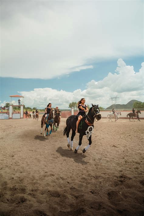 Reverse+Cowgirl+Gif Photos, Download The BEST Free Reverse+Cowgirl+Gif