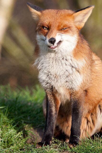 Hepl me fox it! : r/KrunkerIO
