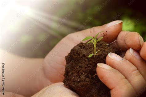 El crecimiento de una nueva empresa se inicia con mucho esfuerzo desde el nacimiento de una ...