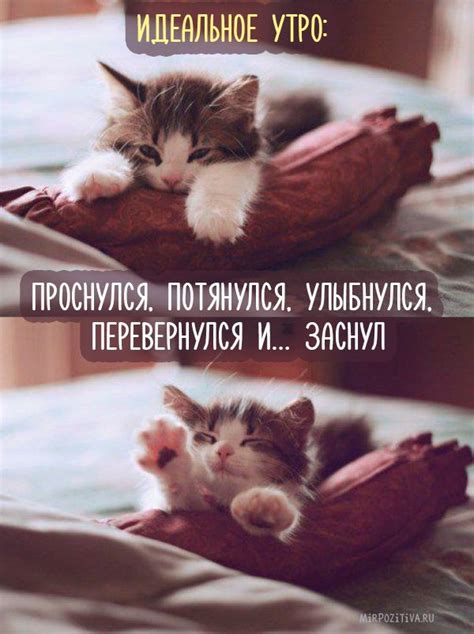 Идеальное утро: проснулся, потянулся, улыбнулся, перевернулся и… заснул ...