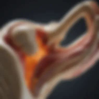 understanding symptoms  bone inflammation