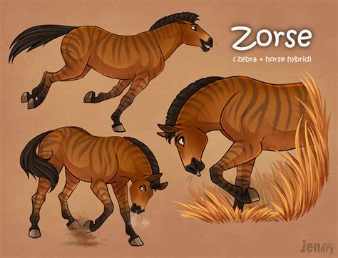 Meet Zorse! by JeneryFilly on DeviantArt