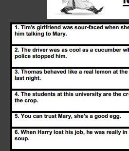 Food Idioms