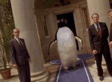 Billy Madison GIF - Billy Madison Penguin - Discover & Share GIFs