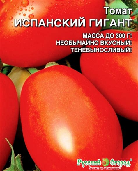 Томат уральский гигант описание сорта фото отзывы