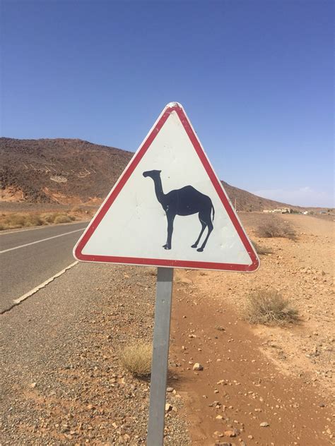 How la metro hidden routes save you hours of travel time 6