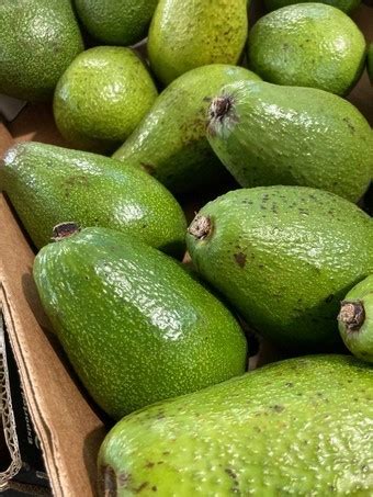 ᐉ Авокадо (шт.) 18 калибр — купить по цене 56,50 грн/шт • Киев, Харьков ...