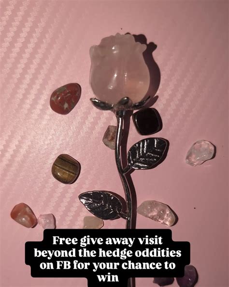 Ica Reid (@moonshineinawineglass) • Instagram photos and videos