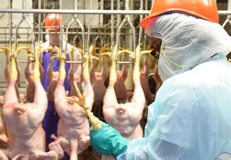 HR Policies & Systems | Food Safety and Inspection Service