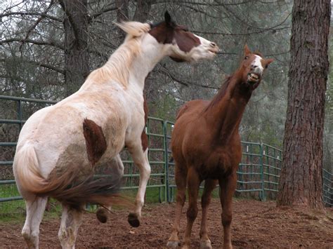 Kathy's Dusty Trails: April 2010