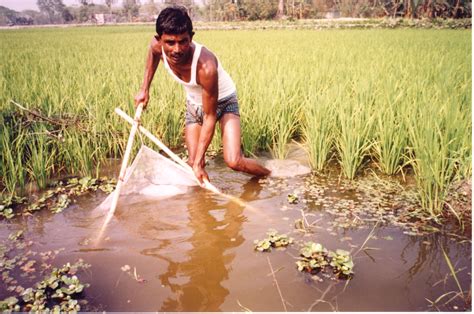 institute  aquaculture oral history home page