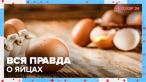 Вся ПРАВДА о ЯЙЦАХ! | Доктор 24 - YouTube