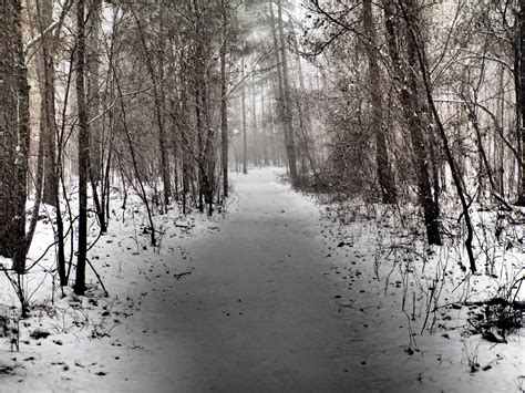 Elevation of Harnett County, NC, USA - Topographic Map - Altitude Map