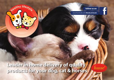 Husse Catalog 2014 by World of Husse - Issuu