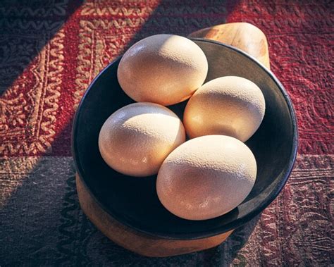 Premium Photo | Ostrich eggs