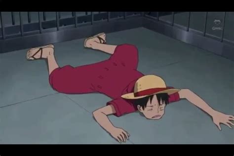 One piece funny moments 😆💕 | Anime Amino