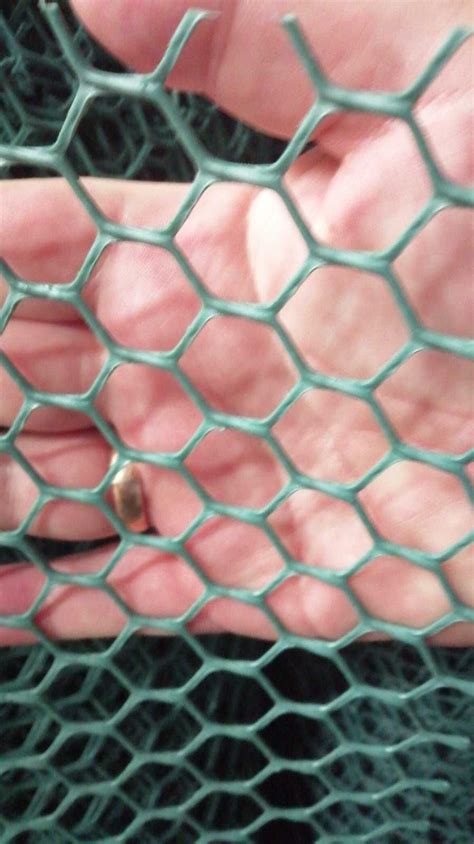 Сетка пластиковая 1,5 х30м (20х20х2,2мм) для забора вольера.Виробник: 2 ...