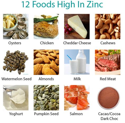 Rishi Ayurveda Hospital and Research Centre: Best Zinc Rich Foods