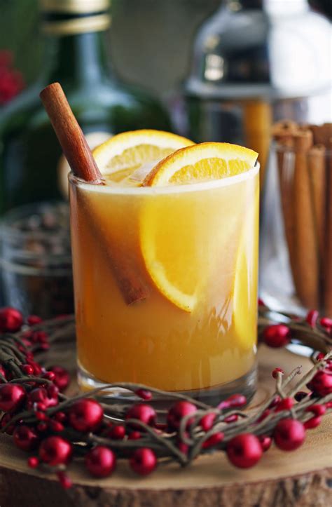 SPICED ORANGE BRANDY SPRITZERS | Brandy cocktails, Cocktail recipes