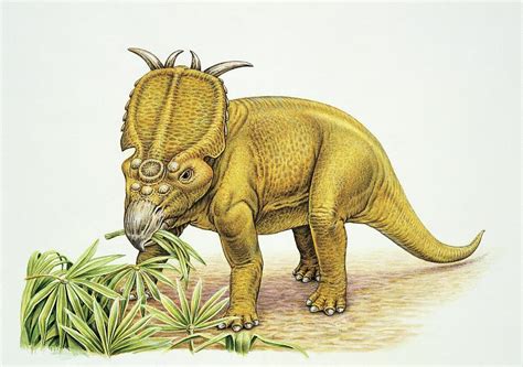 Dinosaur Eating A Leaf Photograph by Deagostini/uig/science Photo Library
