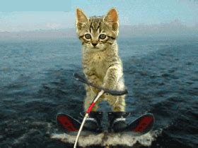 Me llaman Vero: GATO AL AGUA