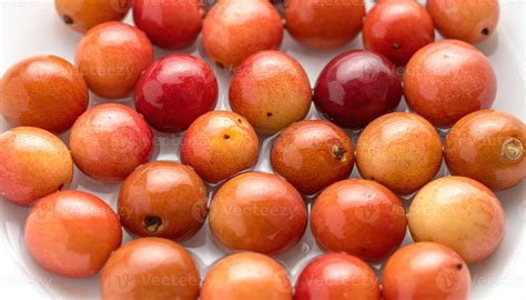 Rainier cherry stones rinsed and aligned on bone white porcelain