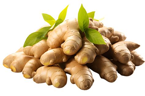 Ginger Png