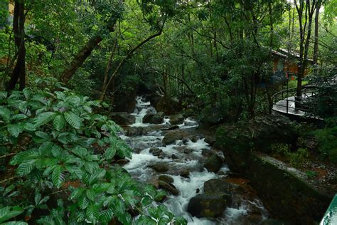 List of Nature Resorts in Kerala - Best Kerala Resorts - LiveKerala