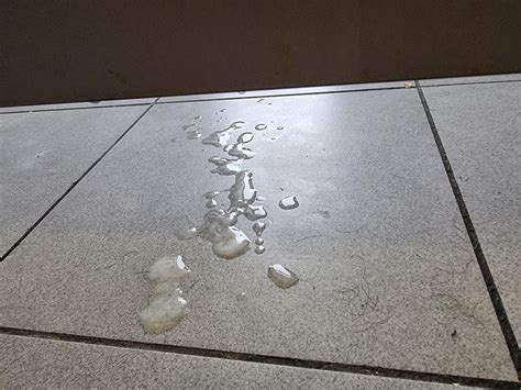 Found this massive cumshot on rhe floor in public toilets in France ( i