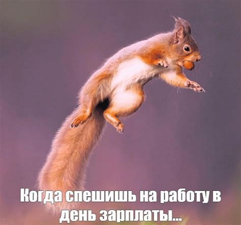 Смішні картинки, приколи і меми про роботу і робочі будні