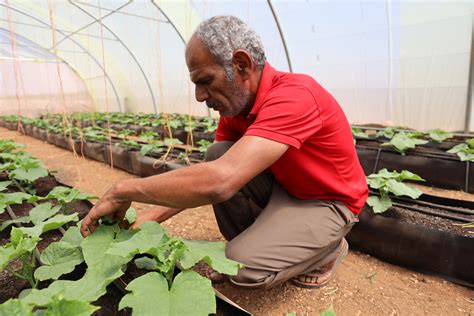 Smart Desert - Blumont