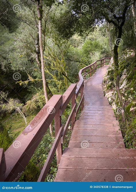 More hiking trails will soon connect the city to sandbrook park 27