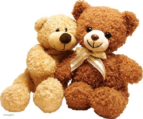 teddy bear png transparent images png