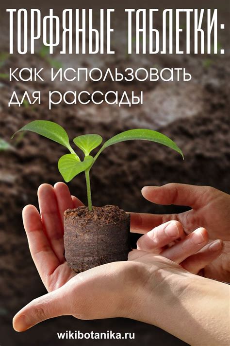 Торфяные таблетки. Как использовать для рассады | Огород, Растения, Сад