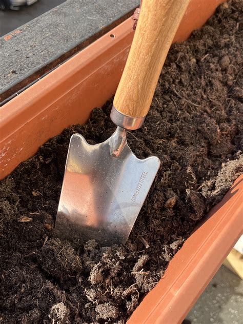 Sowing seeds in autumn – Seedor