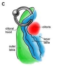 Health & beauty secrets for women: Clit piercing guide (clitoris piercings)